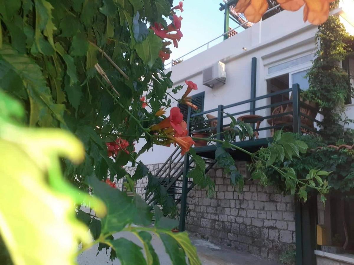 Apartments Kamaki Gradac  Exterior photo
